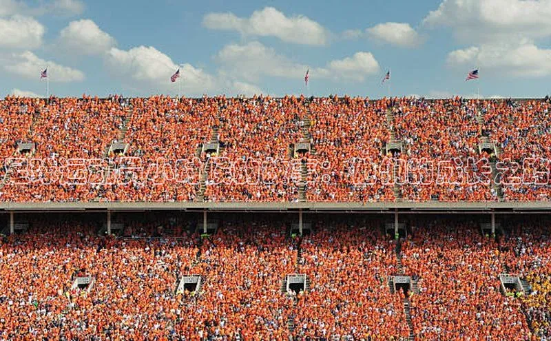 威廉希尔体育在线平台百度集团足球运动员小时候的故事：他们的成长之路