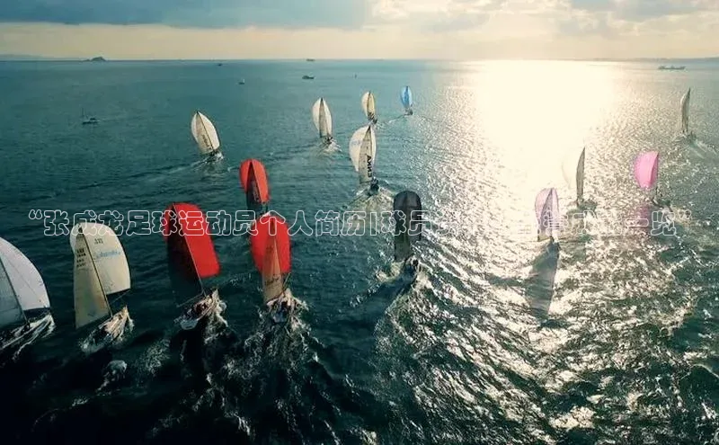 威廉希尔体育路畅科技“张成龙足球运动员个人简历|球员资料、荣誉成就一览”