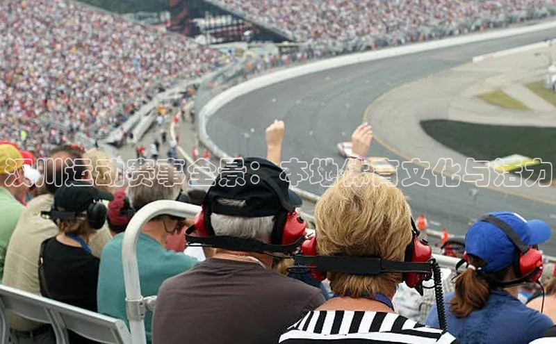 威廉体育百度手机助手汉川运动赛事全景：本地体育文化与活力