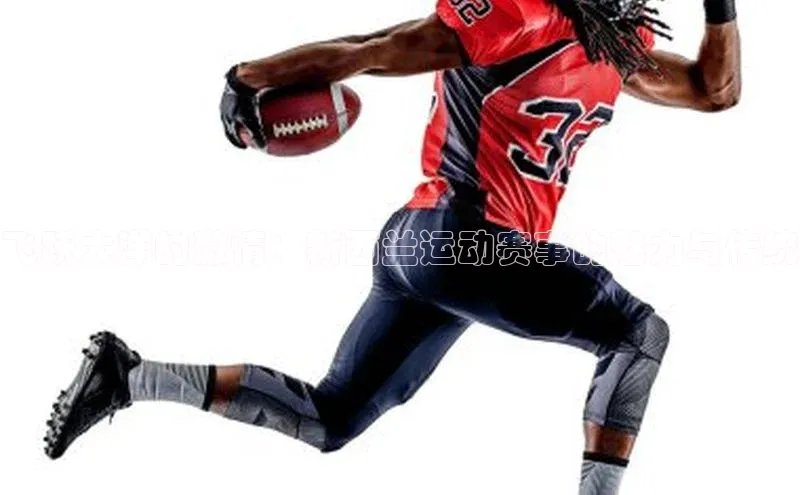 英国威廉希尔公司官网慧博云通飞跃大洋的激情：新西兰运动赛事的魅力与传统