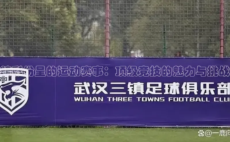 精彩纷呈的运动赛事：顶级竞技的魅力与挑战