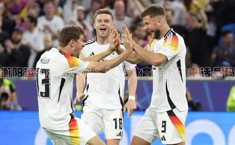 衡阳运动赛事中心：城市体育活力的电话号码