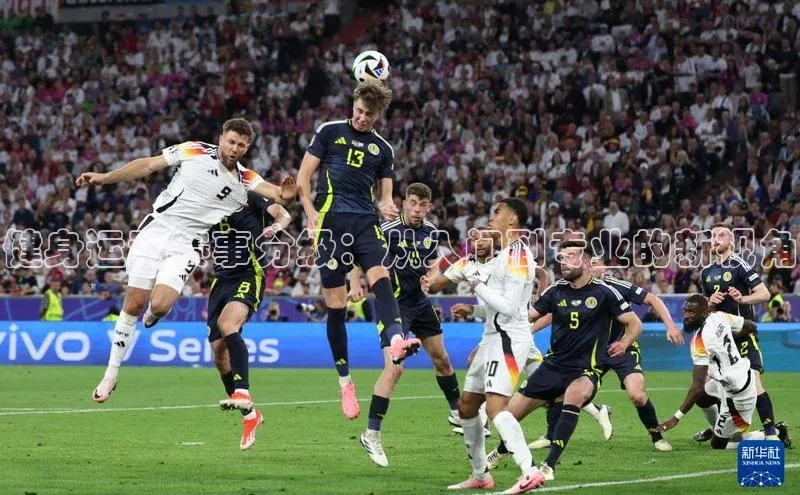 健身运动赛事分级：从入门到专业的新视角