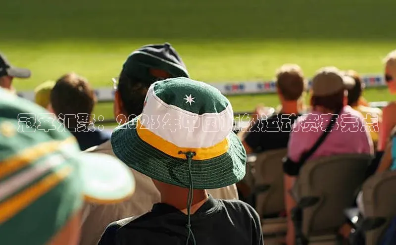 冠军汇聚：2023年中国顶级运动赛事亮点