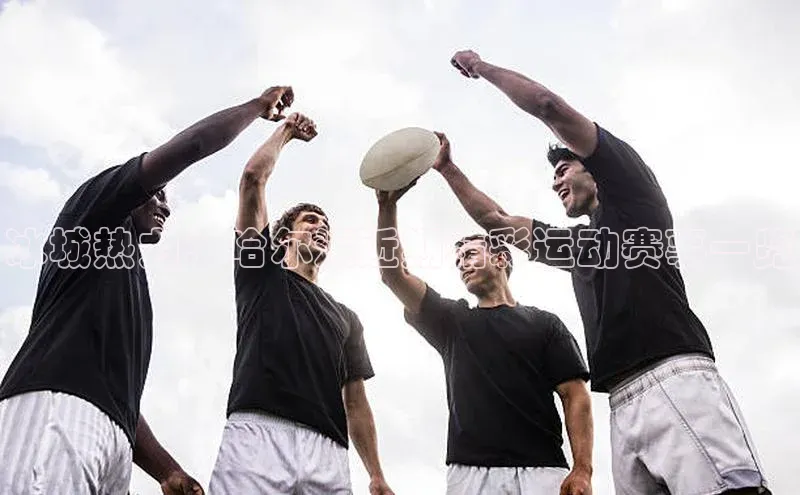 冰城热力：哈尔滨近期精彩运动赛事一览