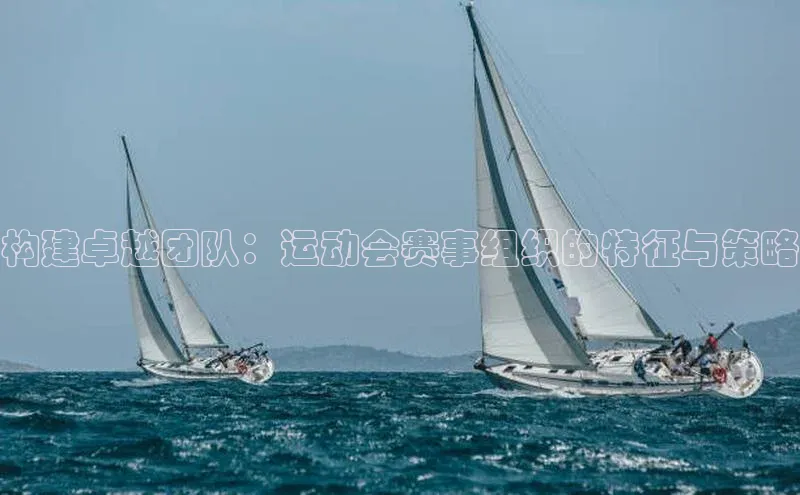 构建卓越团队：运动会赛事组织的特征与策略