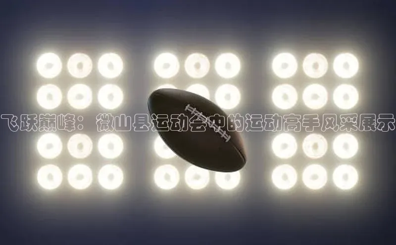 飞跃巅峰：微山县运动会中的运动高手风采展示