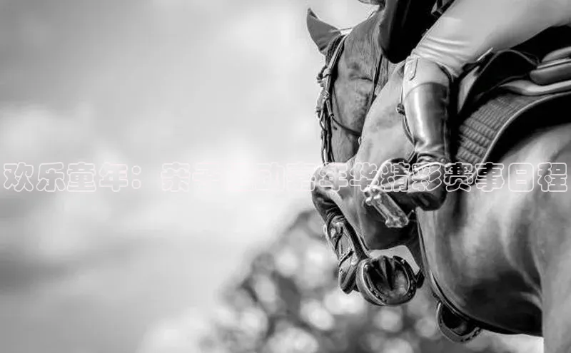 欢乐童年：亲子运动嘉年华精彩赛事日程