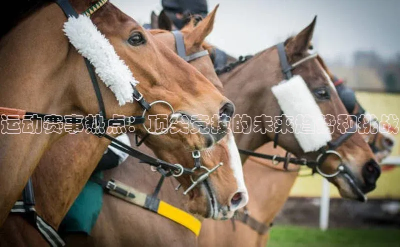 运动赛事热点：顶尖竞技的未来趋势和挑战