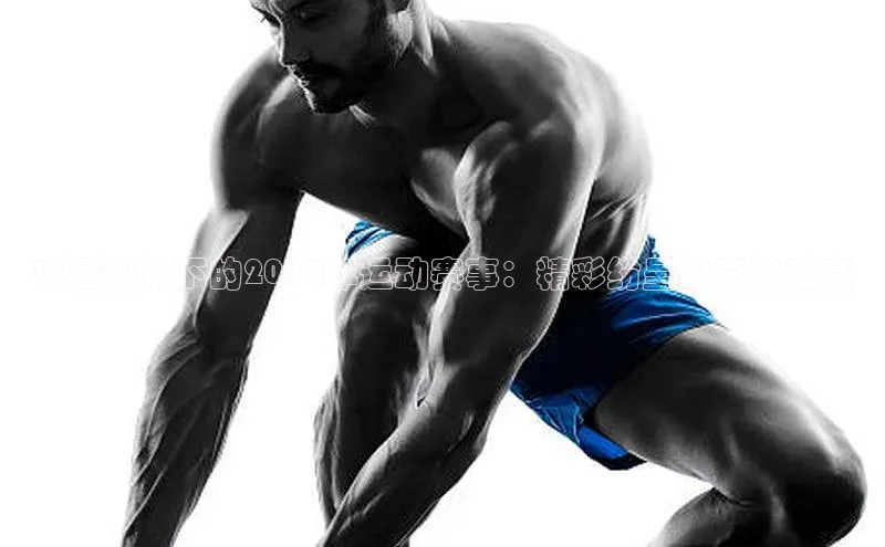 中国视角下的2024年运动赛事：精彩纷呈的竞技盛宴