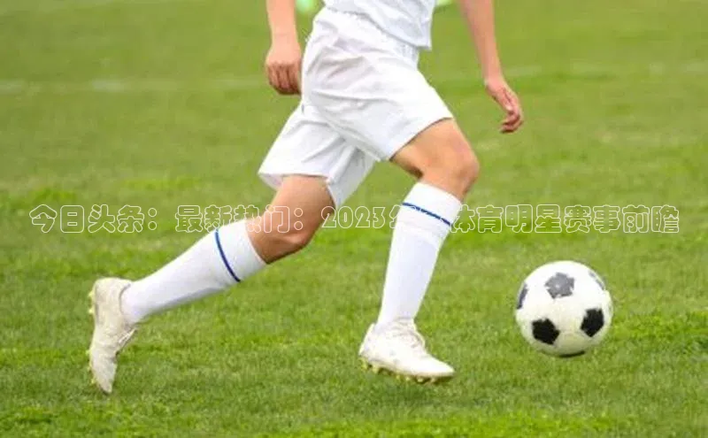 威廉希尔WilliamHill官方网站